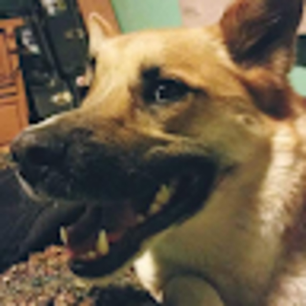 Meet your Posher, Lexi